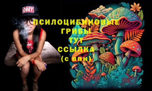 меф Богородицк