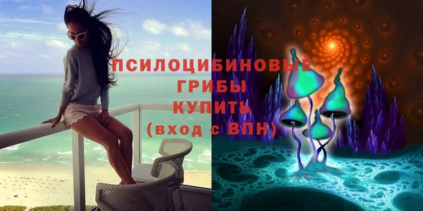 соль курить ск Богданович