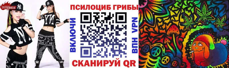 закладки Малмыж Псилоцибиновые грибы Psilocybe